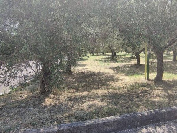 negozio in vendita a Treglio