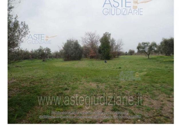terreno agricolo in vendita a Treglio