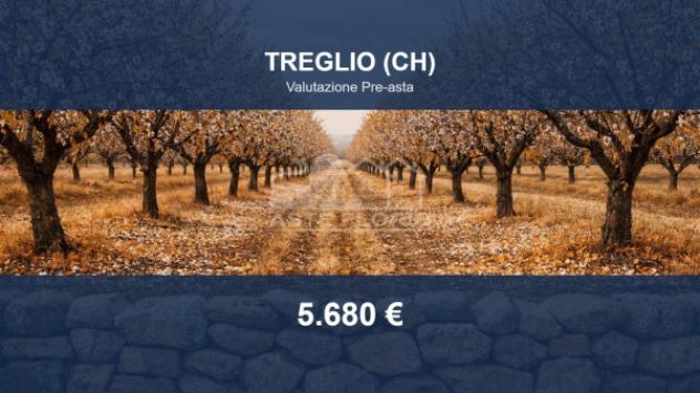 terreno agricolo in vendita a Treglio