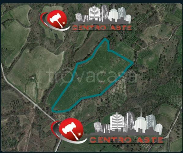 terreno agricolo in vendita a Tufillo
