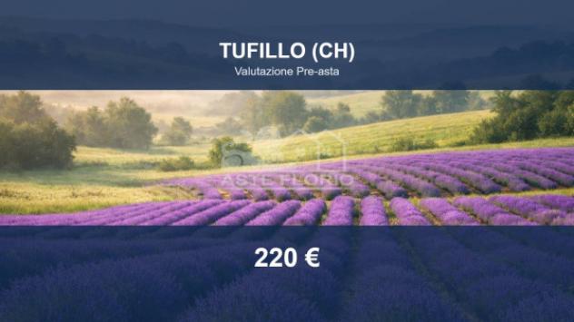 terreno agricolo in vendita a Tufillo