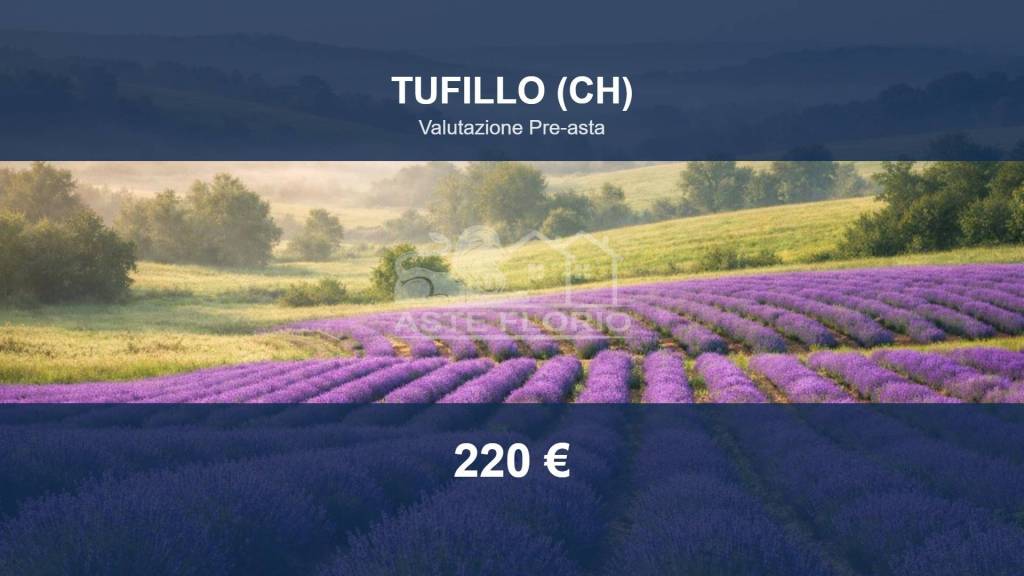 terreno agricolo in vendita a Tufillo