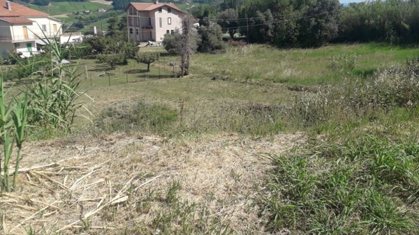 terreno edificabile in vendita a Vacri