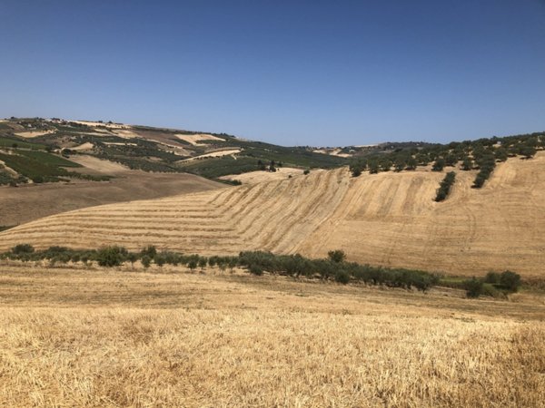 terreno agricolo in vendita a Vasto