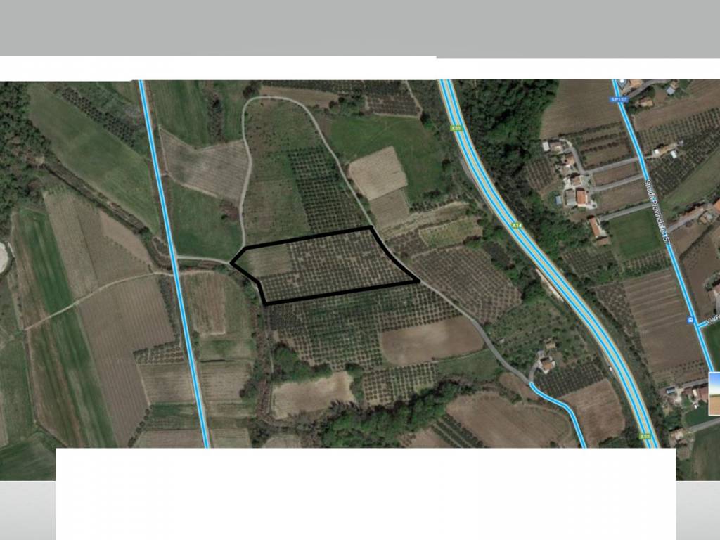 terreno agricolo in vendita a Vasto in zona San Lorenzo