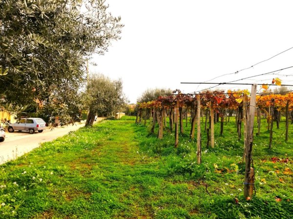 terreno edificabile in vendita a Vasto in zona Incoronata