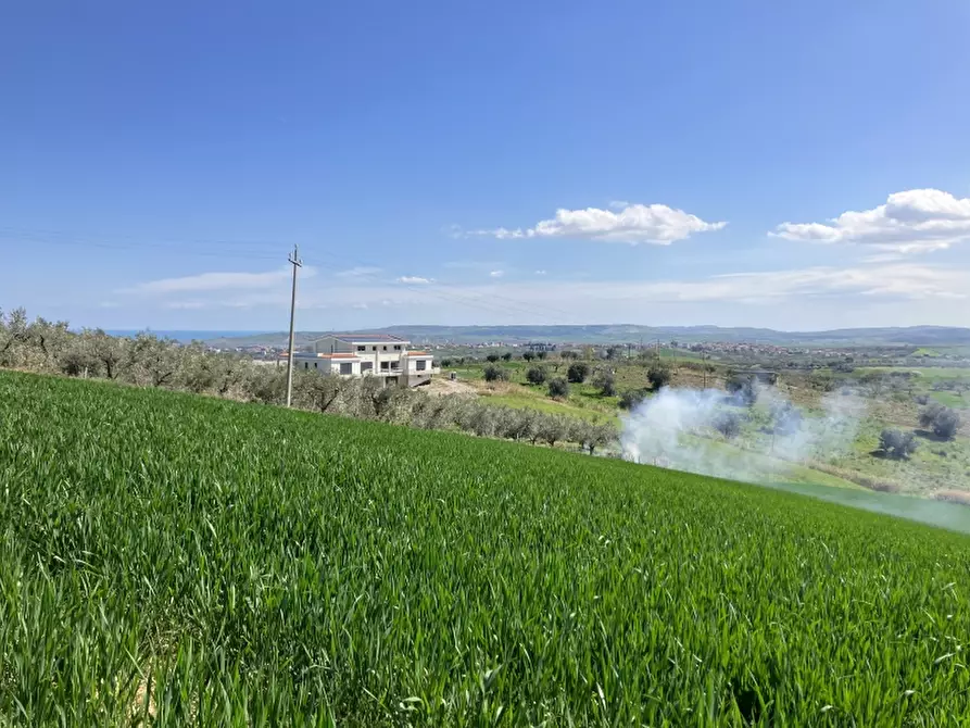 terreno agricolo in vendita a Vasto
