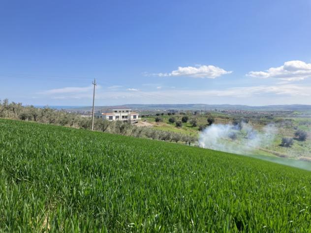 terreno agricolo in vendita a Vasto
