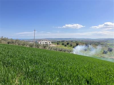 terreno agricolo in vendita a Vasto