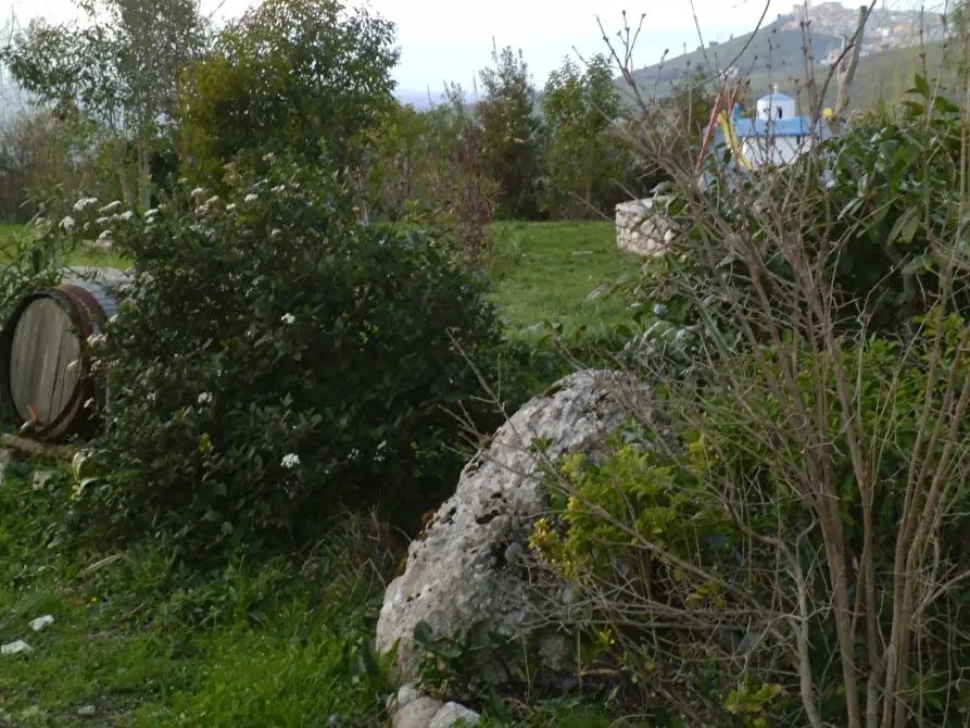 terreno agricolo in vendita a Vasto