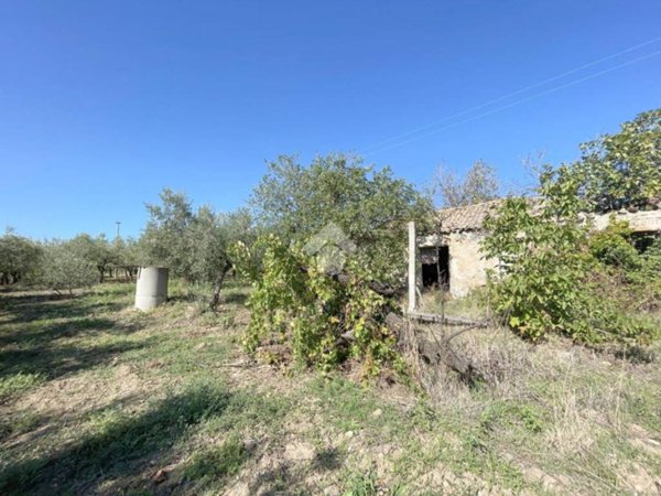 terreno agricolo in vendita a Vasto in zona Pagliarelli