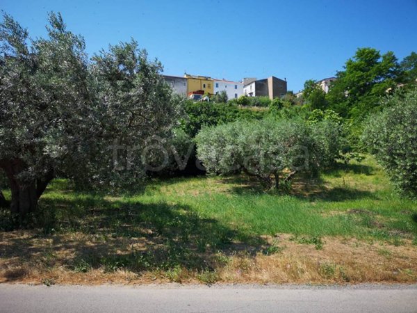 terreno agricolo in vendita a Vasto