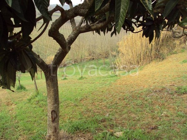 terreno agricolo in vendita a Vasto