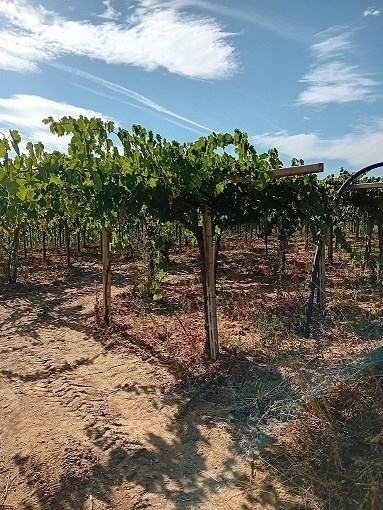 appartamento in vendita a Vasto