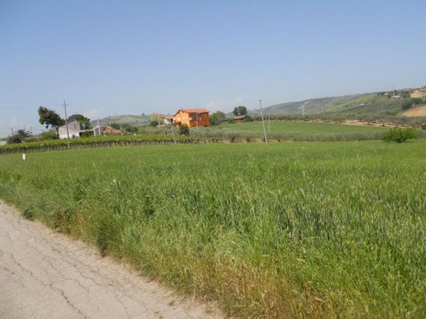 terreno agricolo in vendita a Vasto