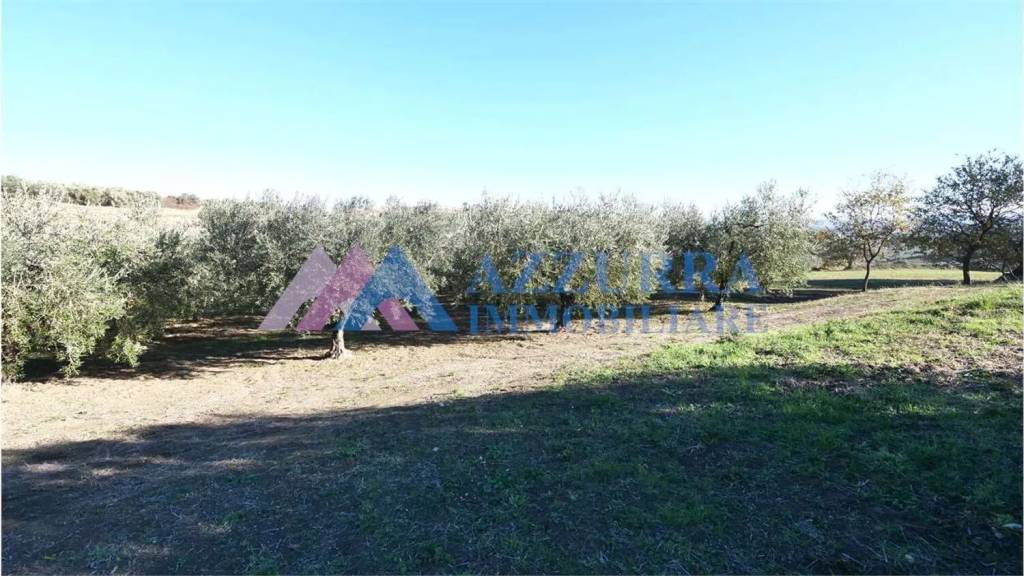 terreno agricolo in vendita a Vasto