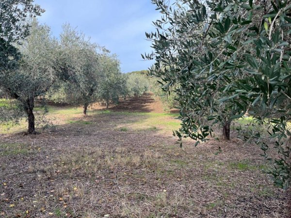 terreno edificabile in vendita a Vasto in zona Incoronata