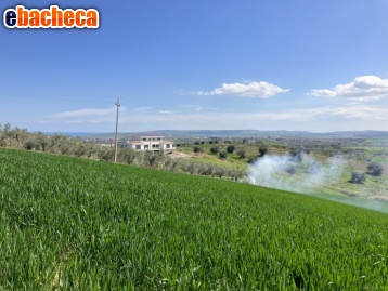 terreno agricolo in vendita a Vasto