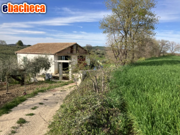 terreno agricolo in vendita a Vasto