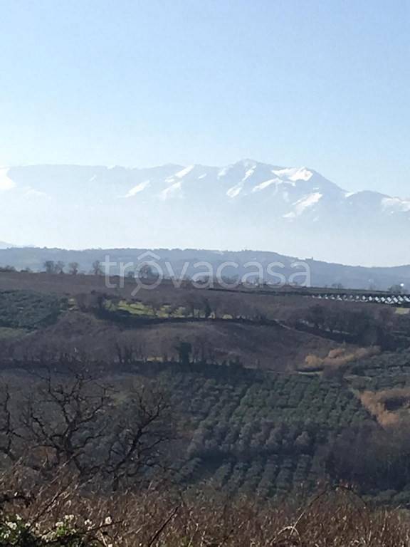 terreno agricolo in vendita a Vasto in zona San Lorenzo