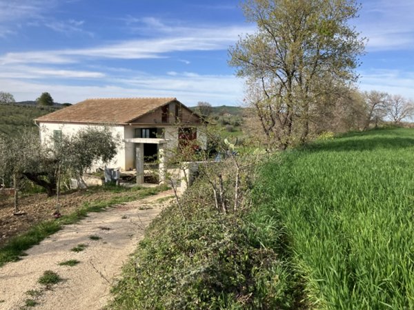 terreno agricolo in vendita a Vasto