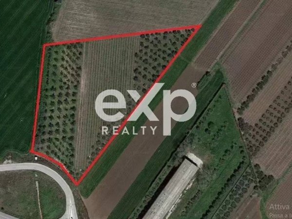 terreno agricolo in vendita a Vasto