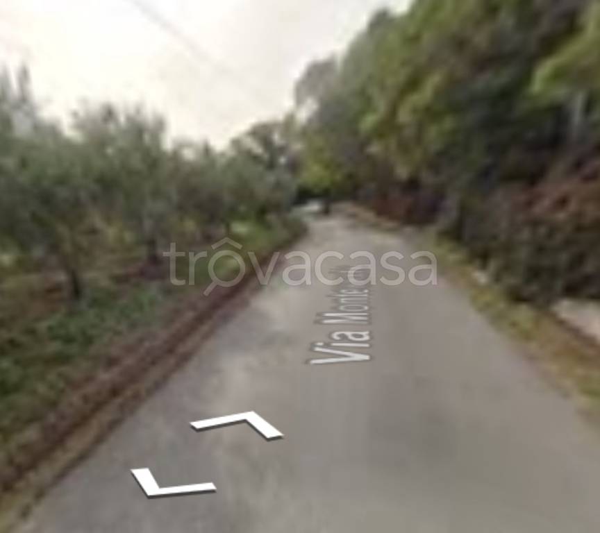 terreno agricolo in vendita a Vasto in zona Montevecchio
