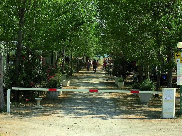 terreno agricolo in vendita a Vasto in zona Marina