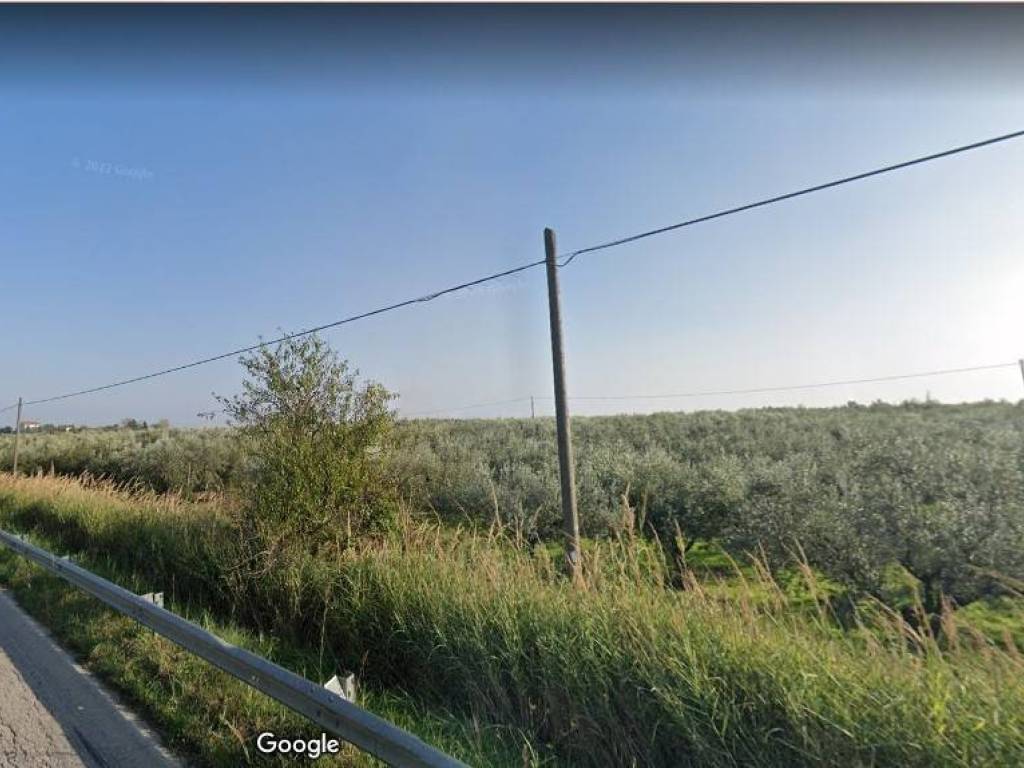 terreno agricolo in vendita a Vasto