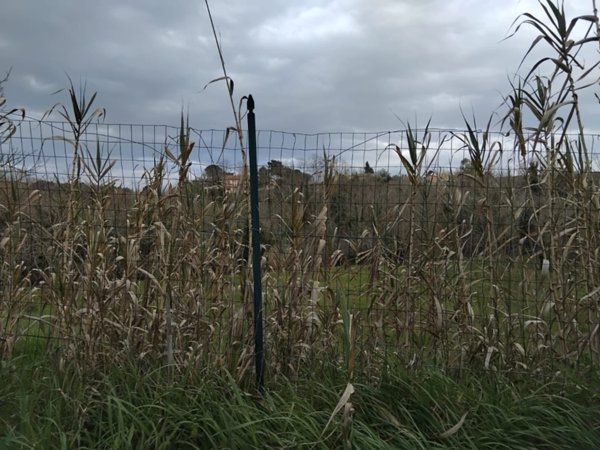 terreno agricolo in vendita a Vasto