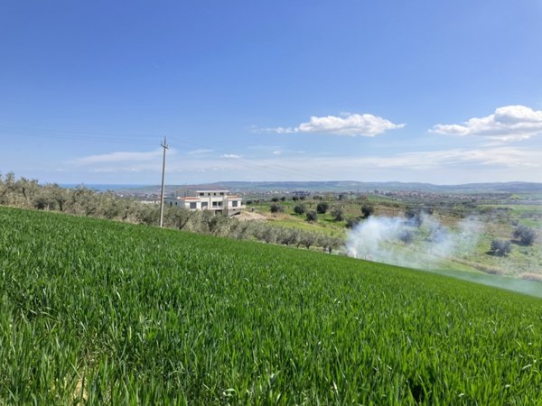 terreno agricolo in vendita a Vasto