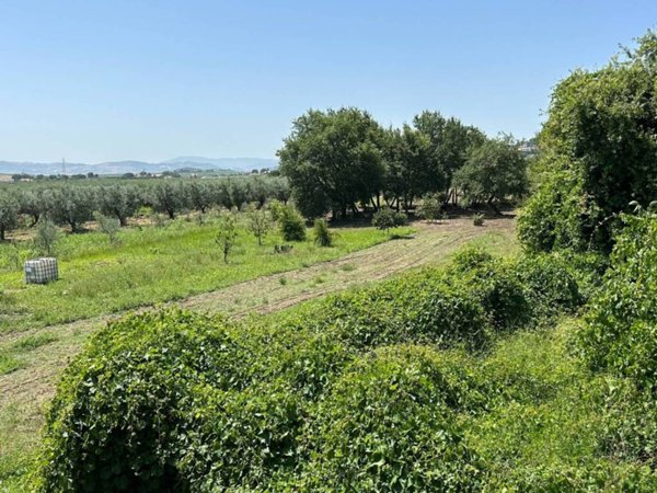 casa indipendente in vendita a Vasto