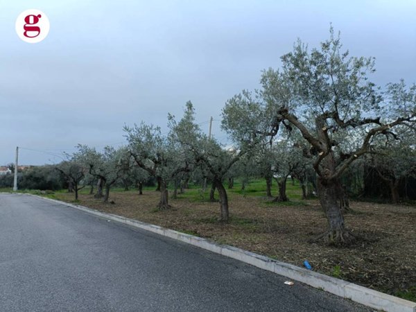 terreno agricolo in vendita a Vasto in zona Incoronata