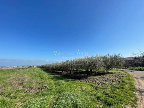 terreno agricolo in vendita a Vasto
