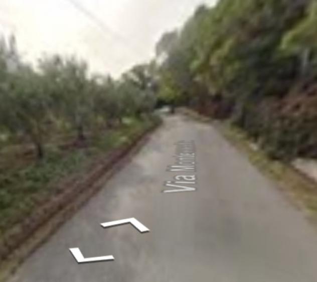 terreno agricolo in vendita a Vasto in zona Montevecchio