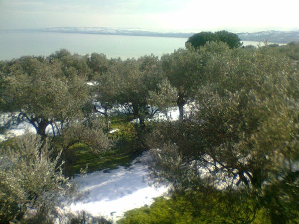 terreno edificabile in vendita a Vasto