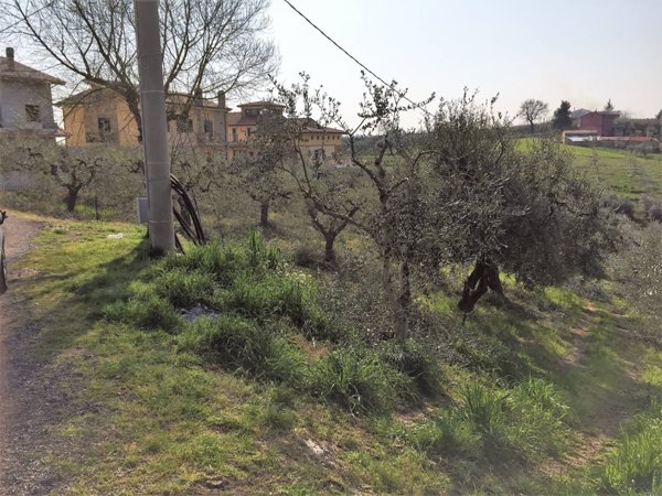 terreno edificabile in vendita a Vasto in zona San Lorenzo