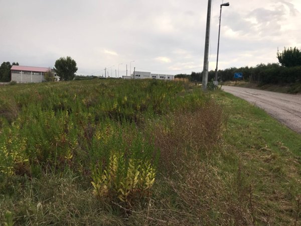 terreno agricolo in vendita a Vasto in zona Lebba