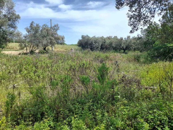 terreno agricolo in vendita a Vasto