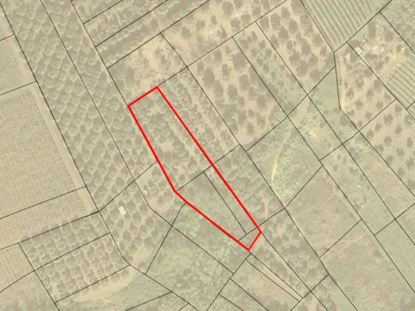 terreno agricolo in vendita a Vasto