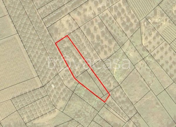 terreno agricolo in vendita a Vasto