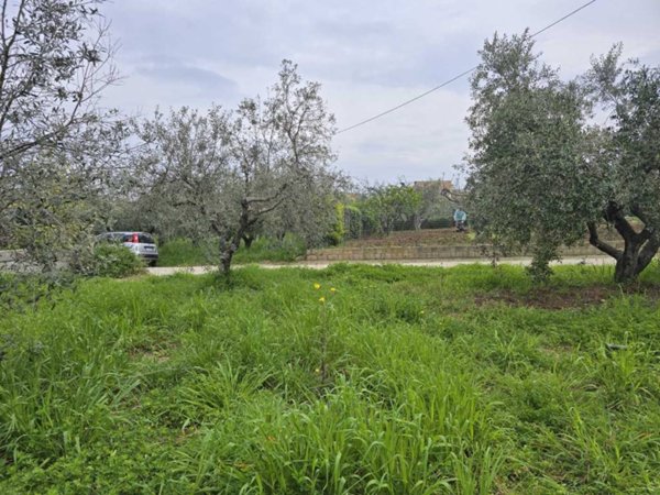 terreno agricolo in vendita a Vasto in zona San Lorenzo