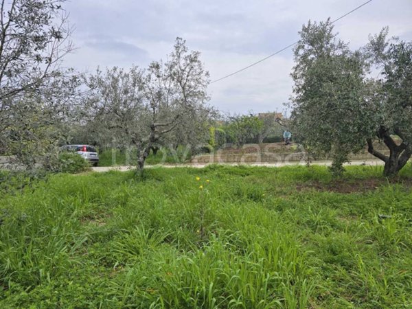 terreno agricolo in vendita a Vasto in zona San Lorenzo