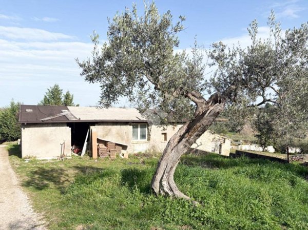 immagine annuncio 0 di 9