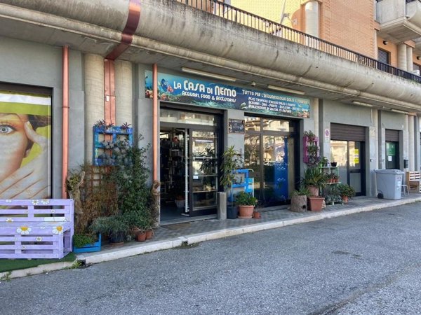 locale commerciale in vendita a Vasto in zona Marina
