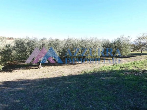 terreno agricolo in vendita a Vasto