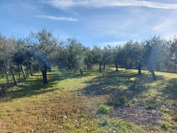 casa indipendente in vendita a Vasto in zona Lebba