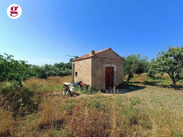terreno agricolo in vendita a Vasto