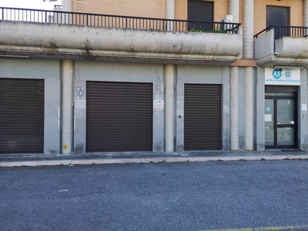 negozio in vendita a Vasto in zona Marina