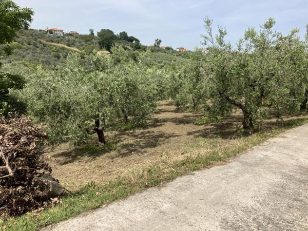 terreno agricolo in vendita a Vasto